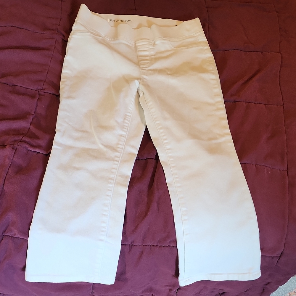 Talbots Women's Cream Boot Cut Pants